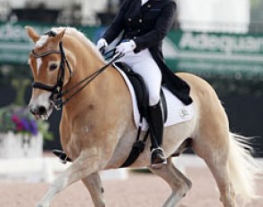 Susanne Hamilton and Lutz at the 2017 CDI Wellington :: Photo © Astrid Appels