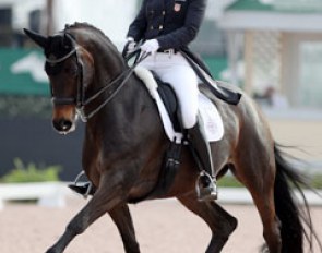 Adrienne Lyle and Horizon at the 2017 CDI Wellington :: Photo © Astrid Appels