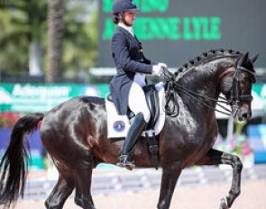 Adrienne Lyle and Salvino at the first CDI during the 2017 CDIO Wellington :: Photo © Sue Stickle