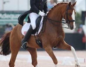 Steffen Peters on Bailarino