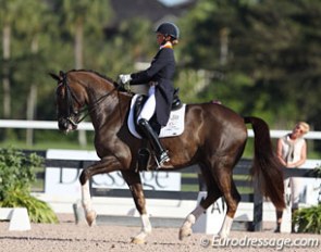 Leida Collins-Strijk in the national Grand Prix ring with the talented West Side (by Florett As x Equador) who is back from injury and with a promising future ahead