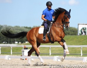 Stelios Stavroulakis schooling Baiao