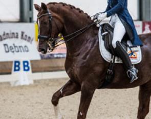 Dina Ellermann on Donna Anna