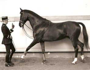 Colonel Christian Carde working with Quavalcadour