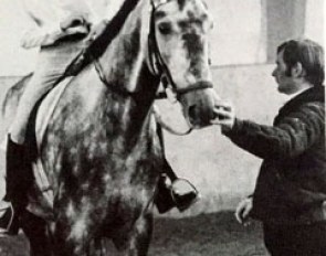 American Elizabeth Felgendreher trying out an auction horse in Verden with young auction rider Ullrich Kasselmann assisting