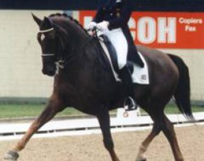 Ulla Salzgeber and Rusty at the 1997 CDIO Aachen :: Photo © Mary Phelps