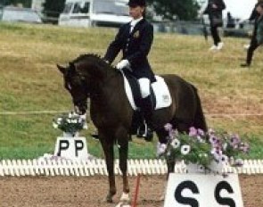 Katrien Verreet on Muldershof Chico (New Forest Pony by Elegant)