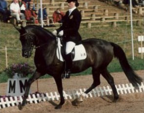 Hannelore Volders on Arastou S. This German bred pony by Diplomat was the 1995 and 1996 Bundeschampion under Andrea Tietze