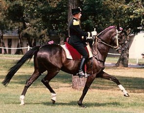 Classical French Equitation at the Cadre Noir 1990s 