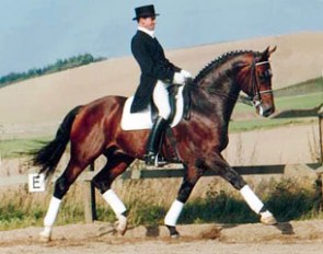 Leif Sørensen aboard the Danish warmblood stallion Rambo in the late 1990s