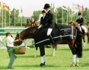 The winning pony gets a basket full of carrots