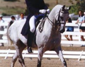 David Boots on Karim at the 1998 North American Young Riders Championships :: Photo © Mary Phelps