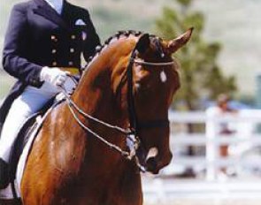 Amanda Cargile and Hurricane at the 1998 NAYRC :: Photo © Mary Phelps