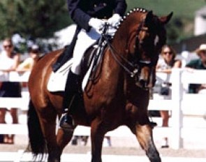 Ryan Hites and Staatsman at the 1998 North American Young Riders Championships :: Photo © Mary Phelps