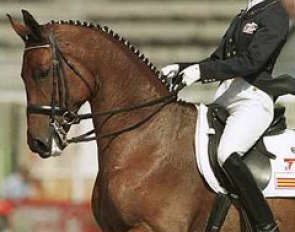 Gonnelien Rothenberger-Gordijn on Dondolo at the 1998 World Equestrian Games