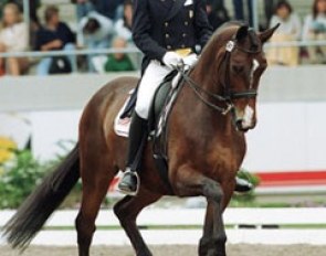 Steffen Peters and Grandeur at the 1999 CDIO Aachen :: Photo © Dirk Caremans