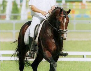 Frank van Dijck on Le Farmer :: Photo © Dirk Caremans