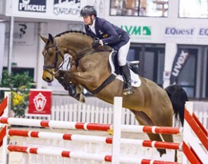 Jumper Bella Bijou (by Balous Bellini x Cornet Obolensky) is part of the elite auction jumper collection