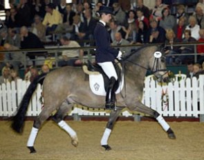 Champ of Class sells for 11,000 euro at the 2009 Westfalian Elite Auction in Munster-Handorf