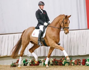 Fuchur at the 2017 Westfalian Handorf Extra winter auction