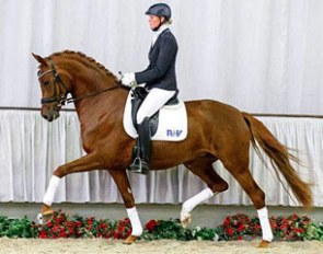 Venezia (by Vitalis x Royal Angelo I) sold to the U.S.A.