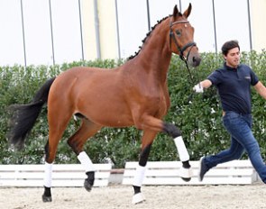 San Bordeaux (by San Amour x Bordeaux x Furst Romancier)