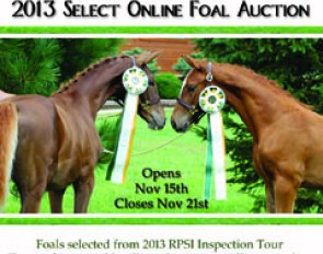 2013 Rheinland Pfalz-Saar International Online Select Foal Auction