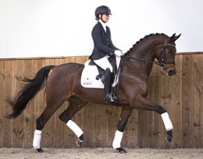 KWPN Elite mare Hortensia (by Lord Leatherdale x Negro x Sandro Hit) is part of the 2016 Van Olst Sales collection