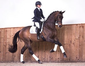 Incognito (by Everdale x Sandro Hit) is part of the 2016 Van Olst Sales collection
