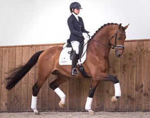 Jefferson (by Johnson x De Niro x Sendbote)