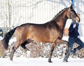Don Finito (by Don Schufro - Sandro Hit - Rubioso N)