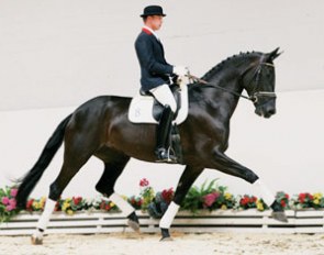 Re Call, a 3-year old State Premium mare by Royal Olymp out of Deluxe (by De Niro x Rubinstein).