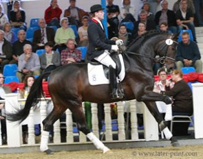 Heiko Klausing aboard Sir Donnerhall II at the 2011 Vechta Spring Elite Auction :: Photo © Tammo Ernst
