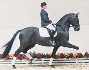 Somerset, top seller at the 2009 Vechta Spring Elite Auction