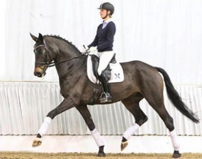 First Class (by Florencio x Regazzoni) :: Photo © Tammo Ernst