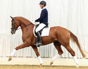 Quisi (by Quaterback x Warkant) :: Photo © Tammo Ernst
