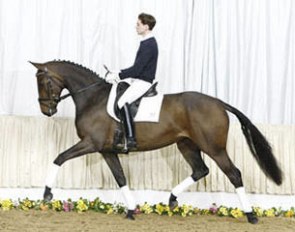 Salenga at the 2010 Hanoverian May Auction