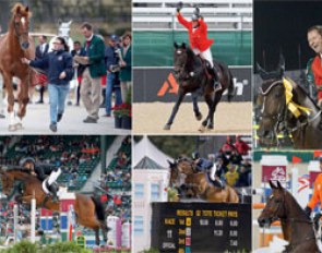 A preview of the book: a show jumping photo page