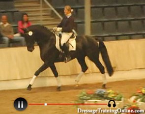 Experience the Hanoverian Elite Auction on Video