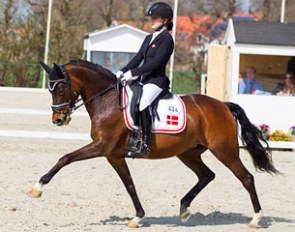 FEI Dressage pony Aphrodite