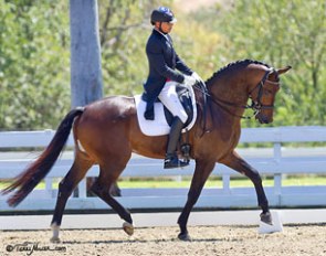 Steffen Peters and Aristo :: Photo © Terri Miller