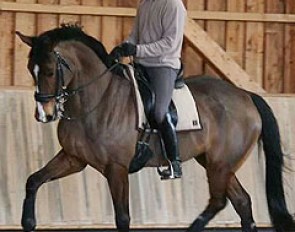 Artaban (by Tolando x Waliver Dream xx)
