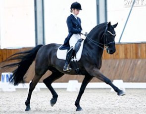 FEI Dressage Horse for sale: Briar