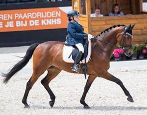 Demi Vermeulen and Burberry at the 2016 Dutch Para Dressage Championships