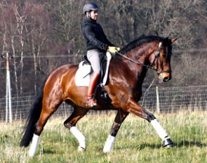Dancing Delight (by Don Diamond x Rubin Royal)