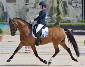 Hesselteich's Desert Rose at the 2013 European Pony Championships :: Photo ©  P. Bernuchon