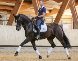 Dinario (by Diamond Hit x Feldherr)