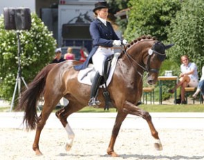 Donna Argentina (by Diamond Hit x Argentinus)