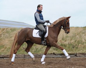 Kleppenhus Duracell (by Don Romantic x Davignon x Werther)