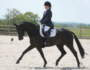 Emily (by Westpoint x Samber)